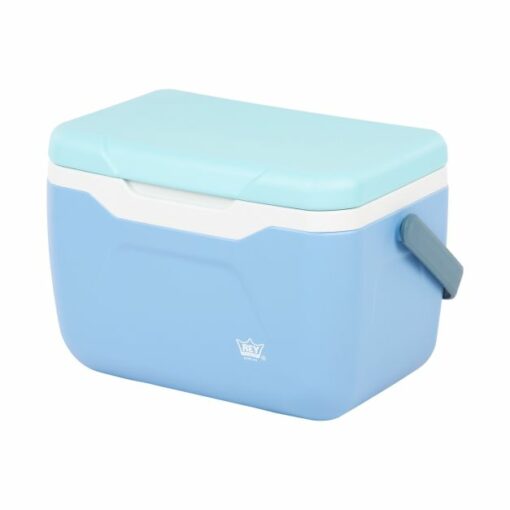 Cooler Snowbox 5.5L (Rey)