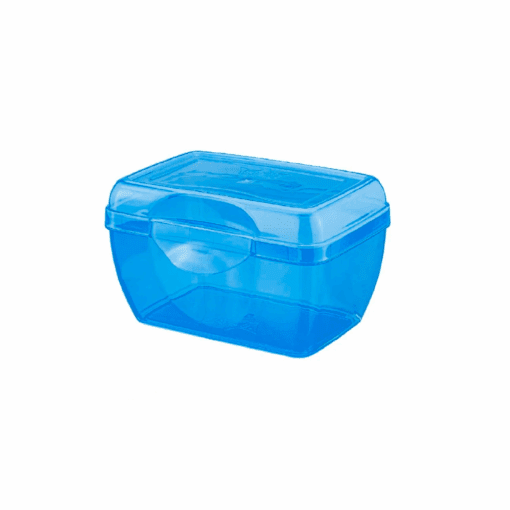 Caja Minibox Rect. 1 Lt. (REY)